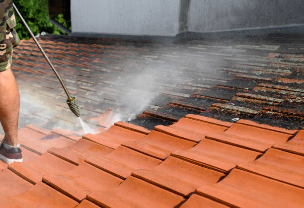 Best Deck Cleaning Services  in Runnemede, NJ