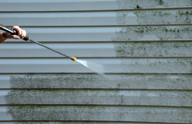 Best Roof Power Washing Services  in Runnemede, NJ
