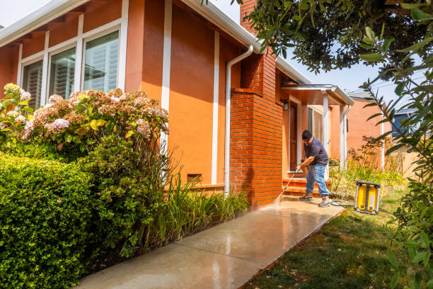 Best Local Pressure Washing Services  in Runnemede, NJ